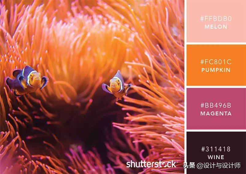 设计色彩总结200字左右,设计配色6种颜色