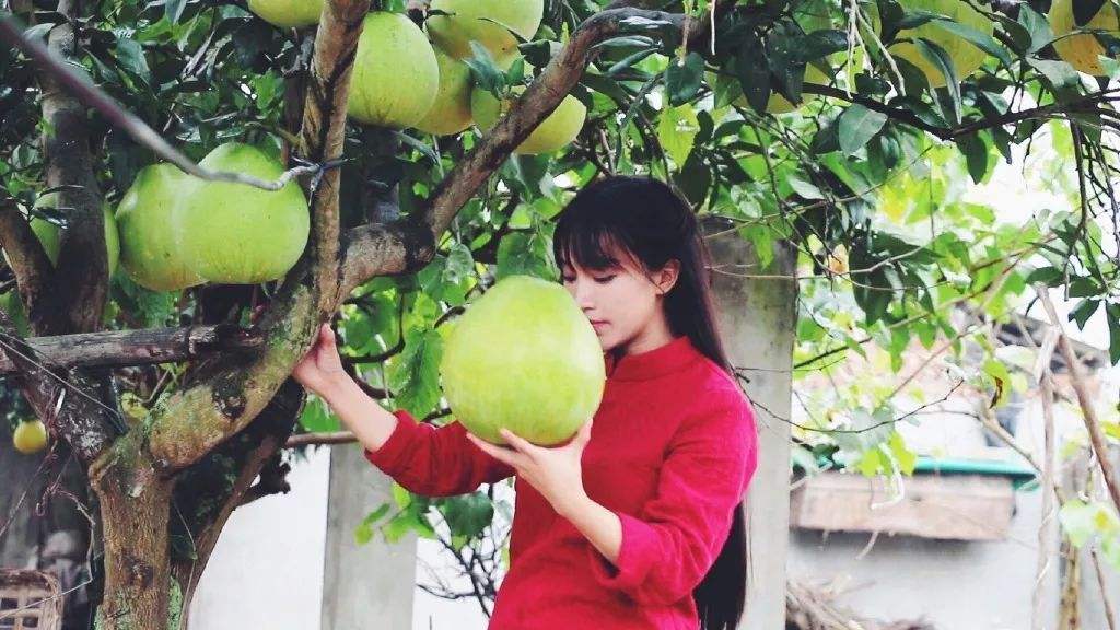 李子柒乡村振兴大使,李子柒乡村文化振兴