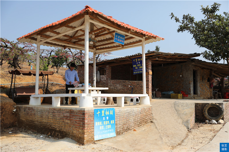 80后放弃广州高薪回家创业,放弃深圳高薪回家农村创业