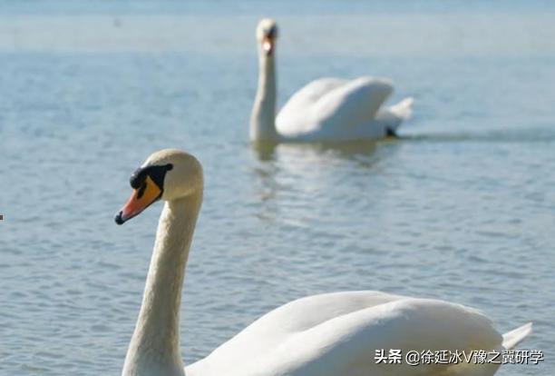 郑州五一近郊游的好地方,不出郑州就能游玩的地方