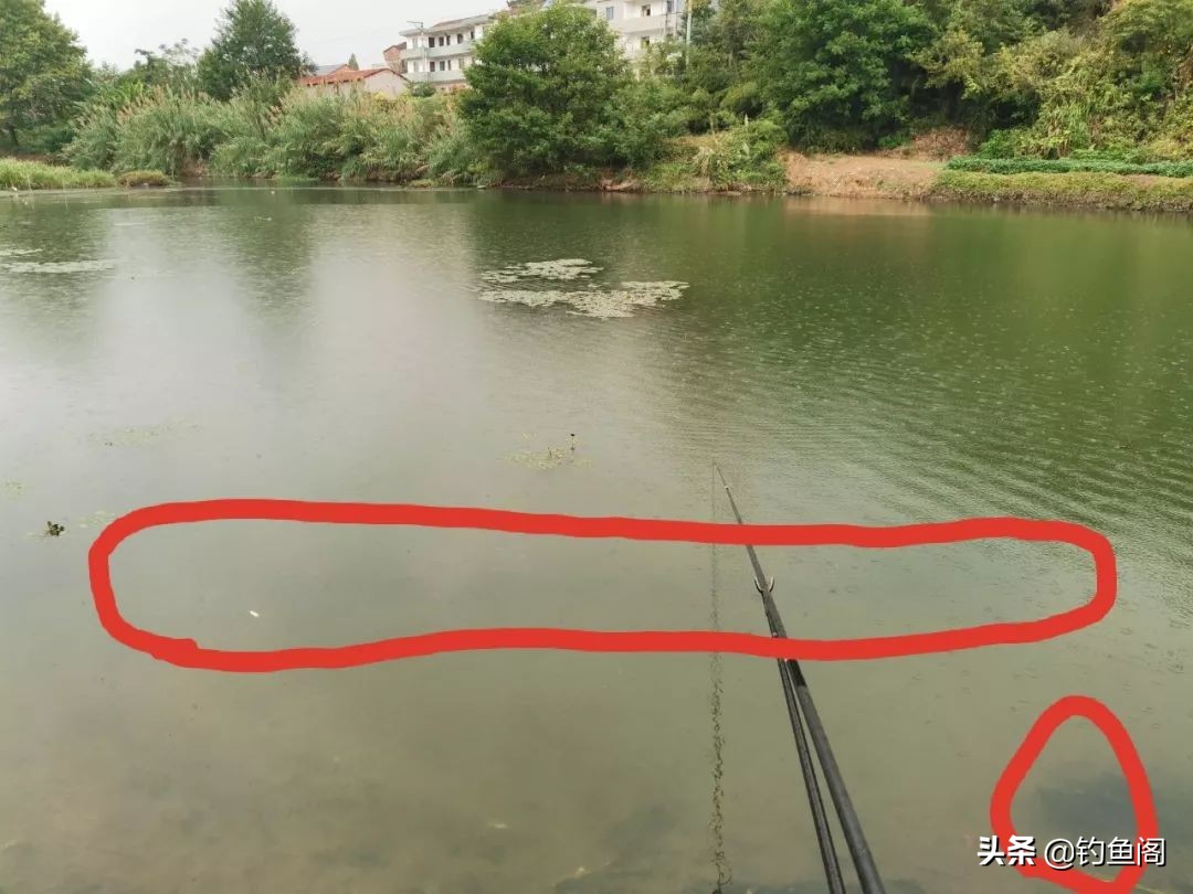野钓难钓的原因,野钓时经常碰到的难题一次全解决
