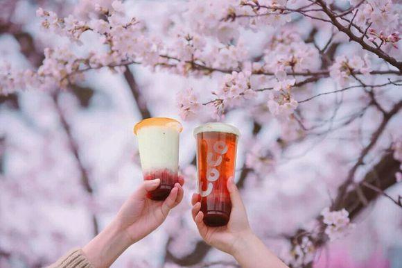 coco都可的茶加盟总部官网电话,都可coco奶茶加盟电话是多少