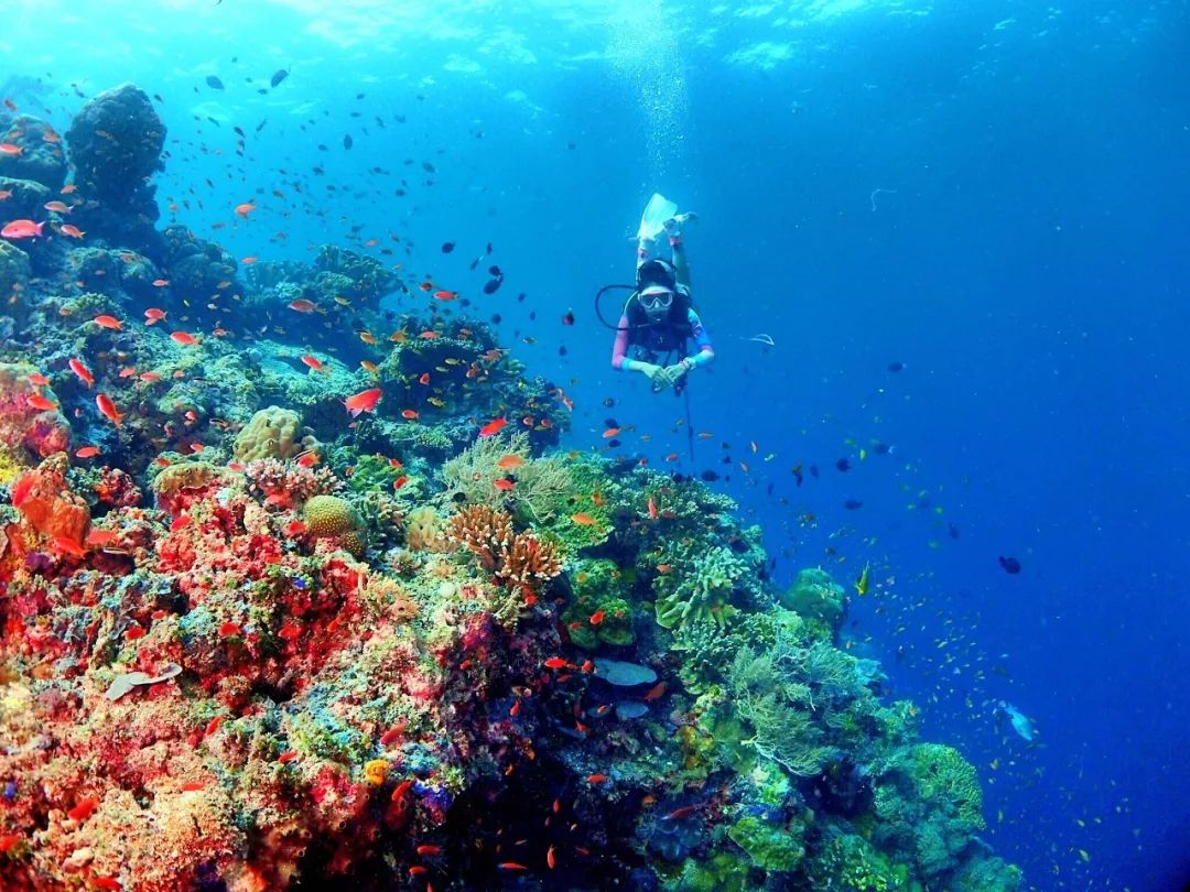 东南亚适合旅游的地方,东南亚旅游十大必去地方