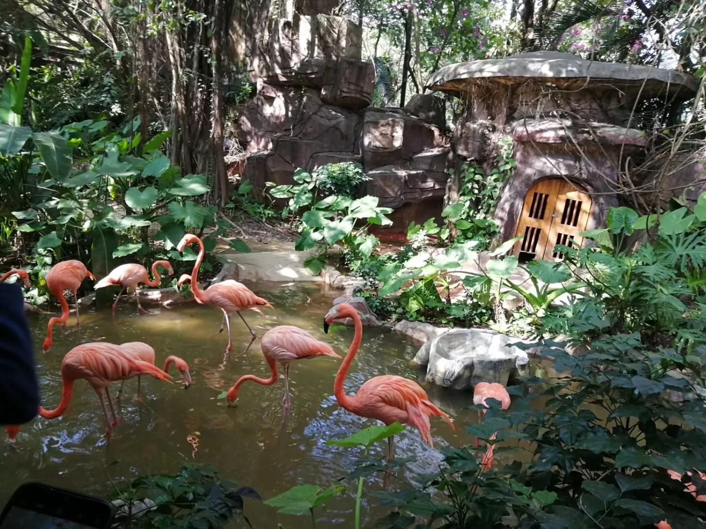 番禺地铁7号线旅游攻略,广州番禺七号线游玩攻略