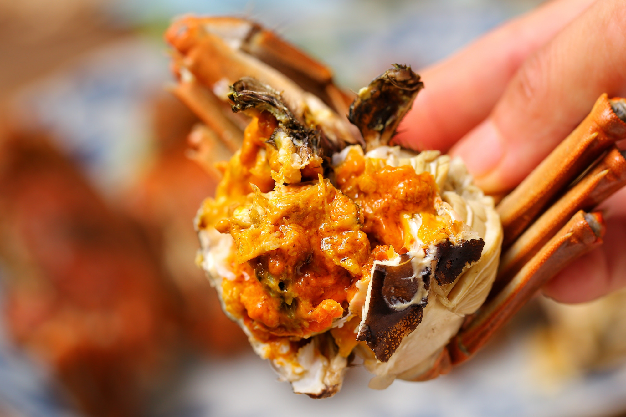 手把手教你清蒸大闸蟹的正确做法,清蒸大闸蟹味道鲜美做法简单极了