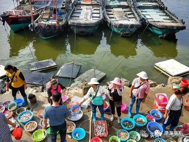 潮汕阿舅全部视频,潮汕网红澄海