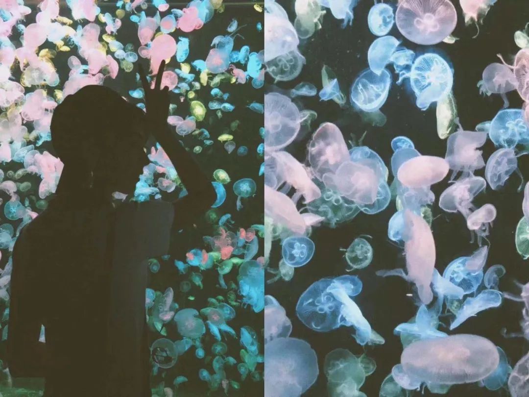 探店新年美照,探店好看的衣服都在这里