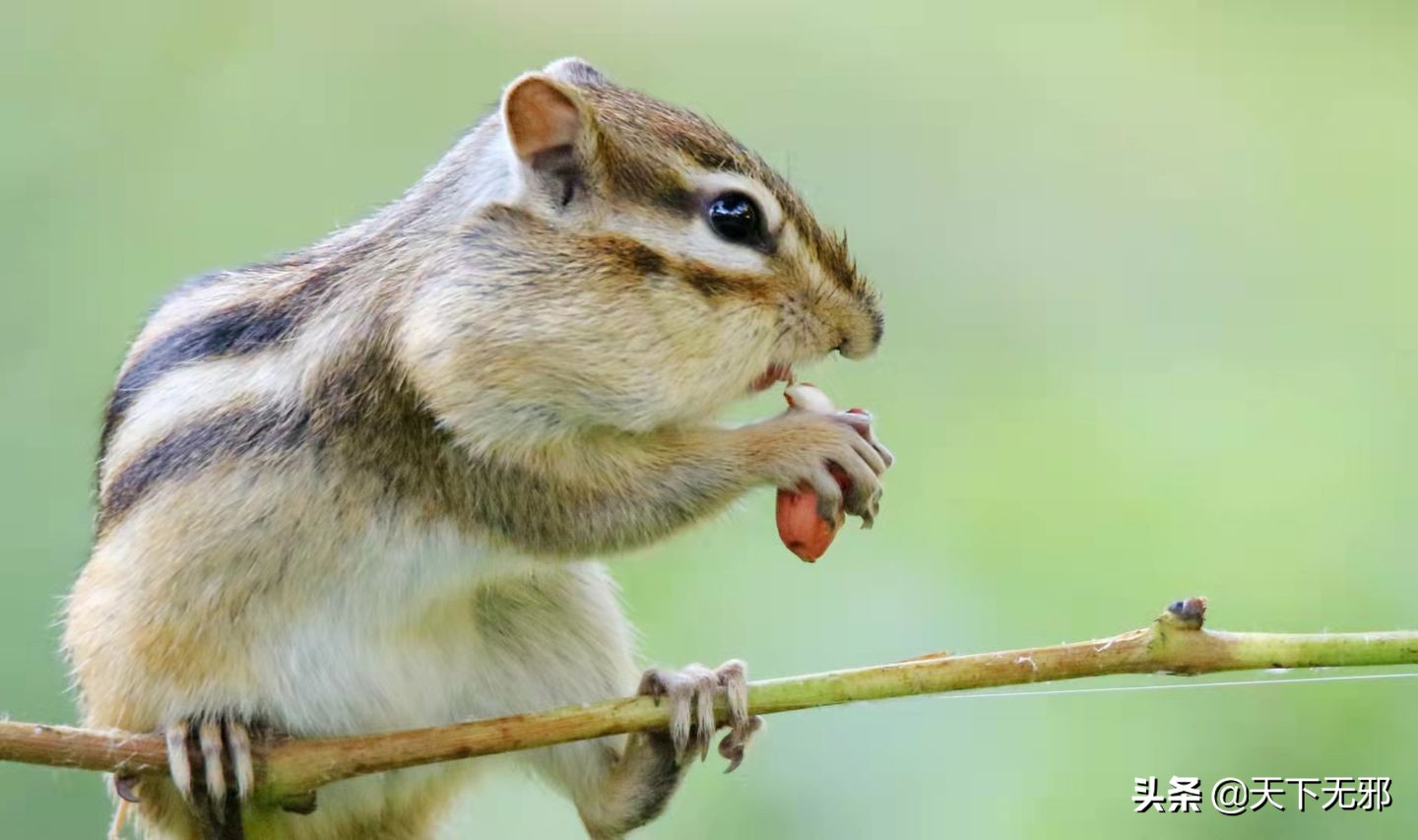 中国科学家对李政道的评价,中国科学史李申书评