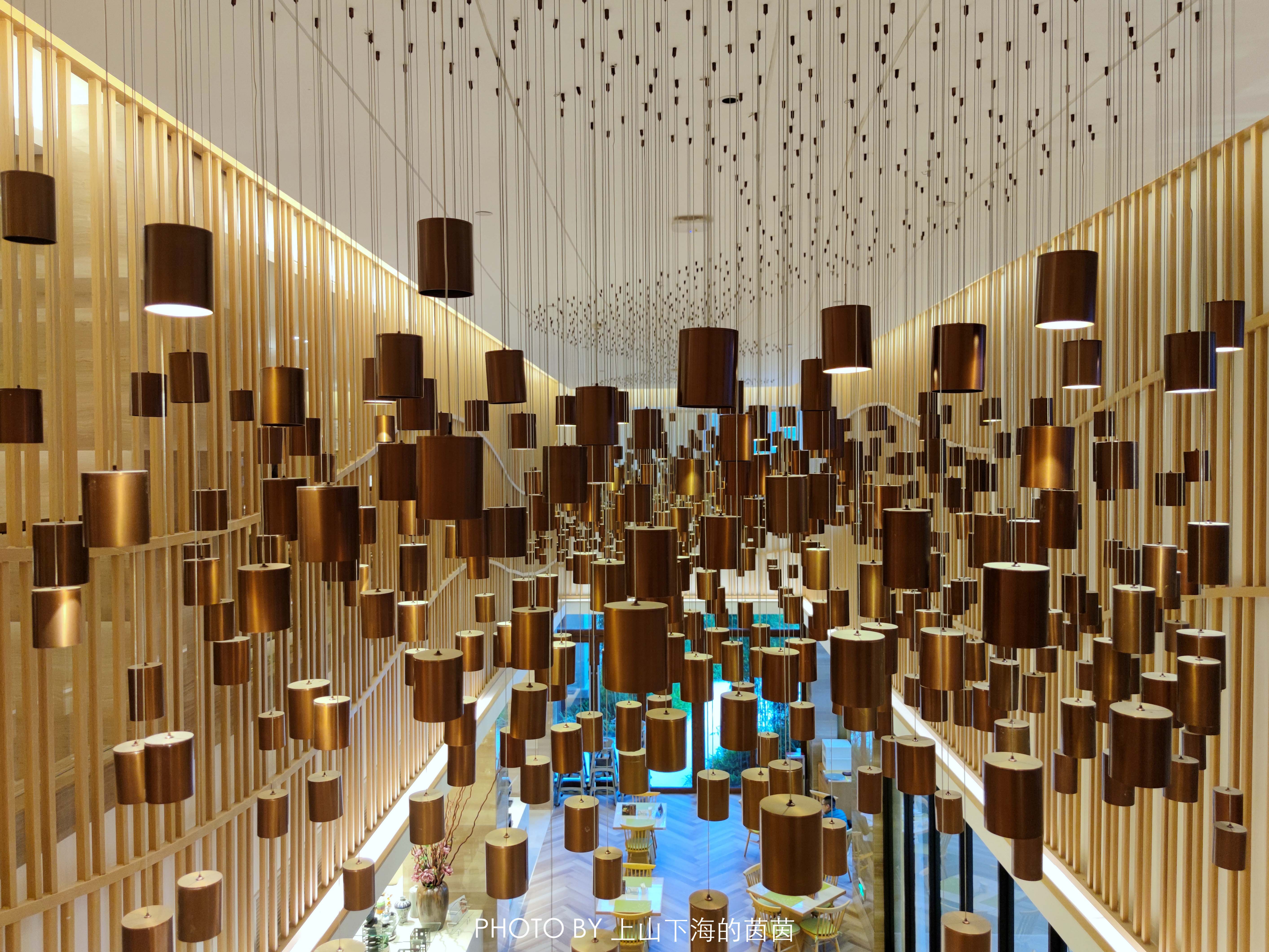 白水寨森林海乐园有什么玩的,白水寨附近免费景点