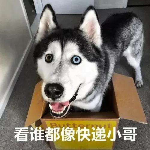 各种让人一看就想买东西的文案,姐妹朋友圈文案可爱沙雕