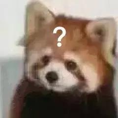 眉毛印章？蔬果蒸脸器？求求你们别再交智商税了！！！