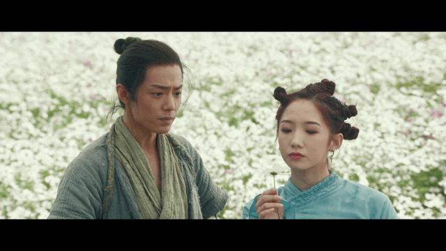 诛仙电影票房多少,诛仙1为何票房高评分低