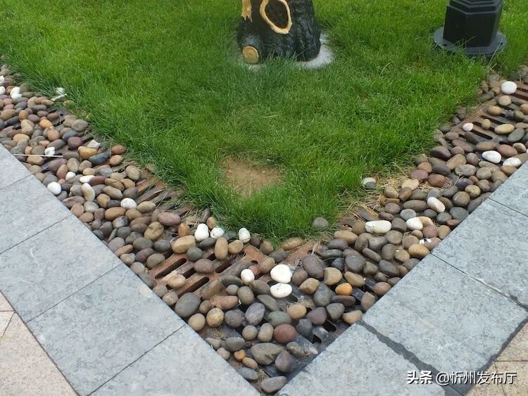 忻州国力花园二期在哪个位置,忻州国力花园五期和国力新城二期