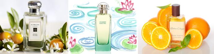 18~26岁的女生应该如何选择香水？｜入门香水指南