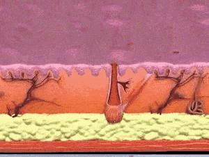 运动可以让脸上皮肤变好吗,脸上敷什么可以让皮肤变好