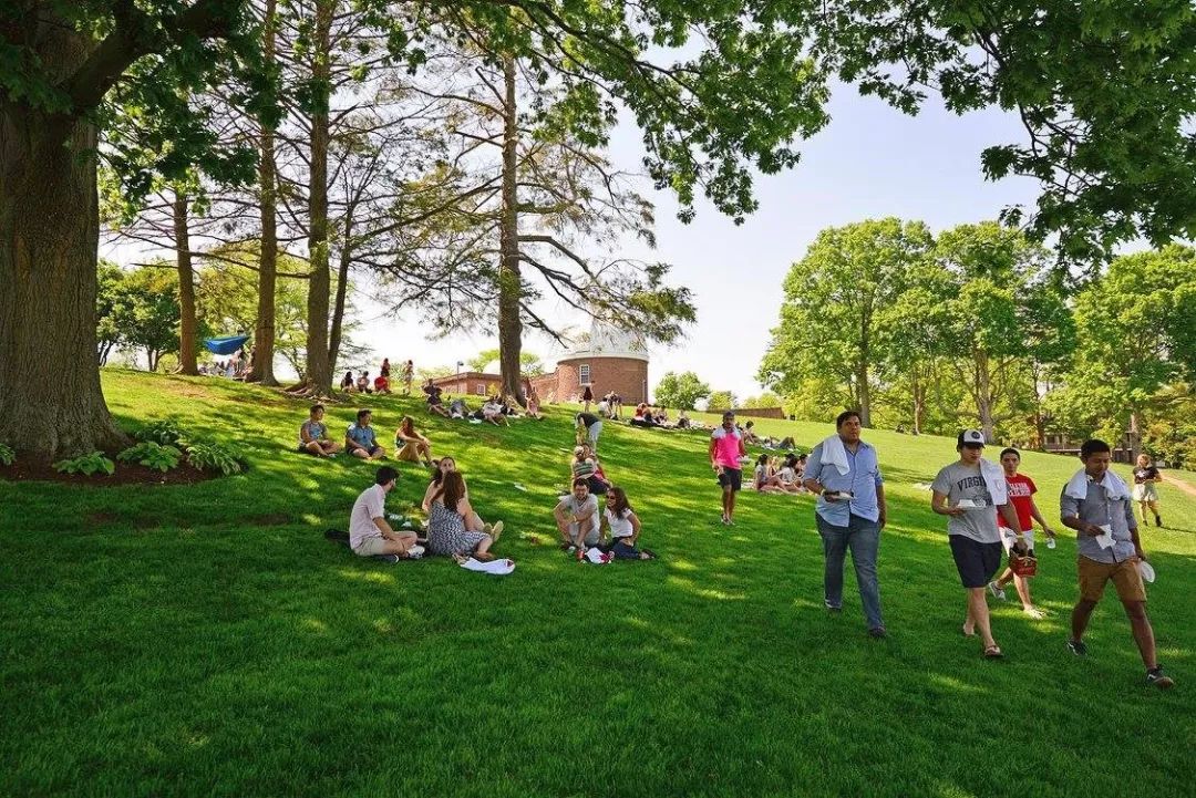 维思大学国内认可吗,维思大学