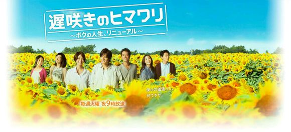 盘点十大冷门电视剧,盘点不可错过的优质韩剧