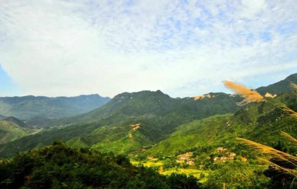 湖北首富都干什么,湖北首富采访视频