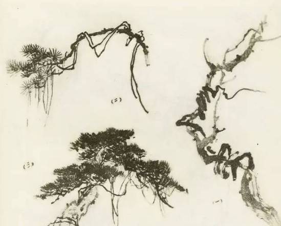 画树教程,怎么画树好看又超级简单