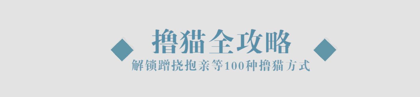 奇怪的知识增加了！猫咪简直就是液体做的