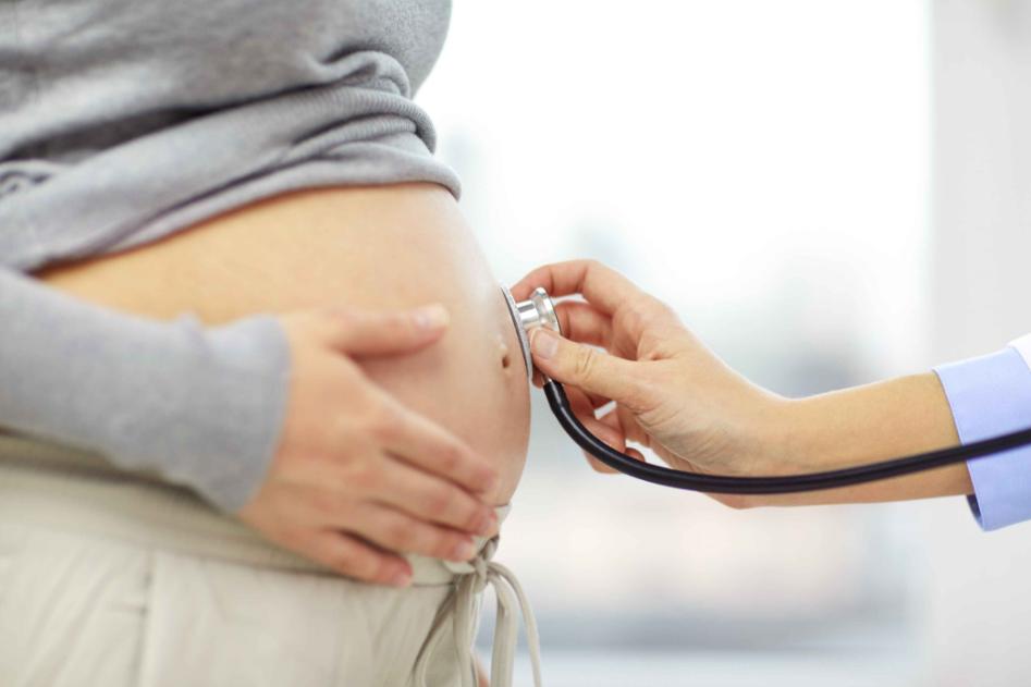 生命是怎么孕育的,生命是如何繁衍的