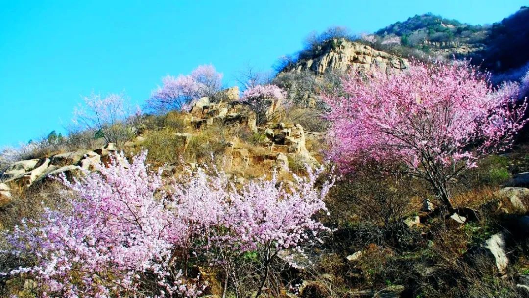 故事连载范文,故事连载小说完整版