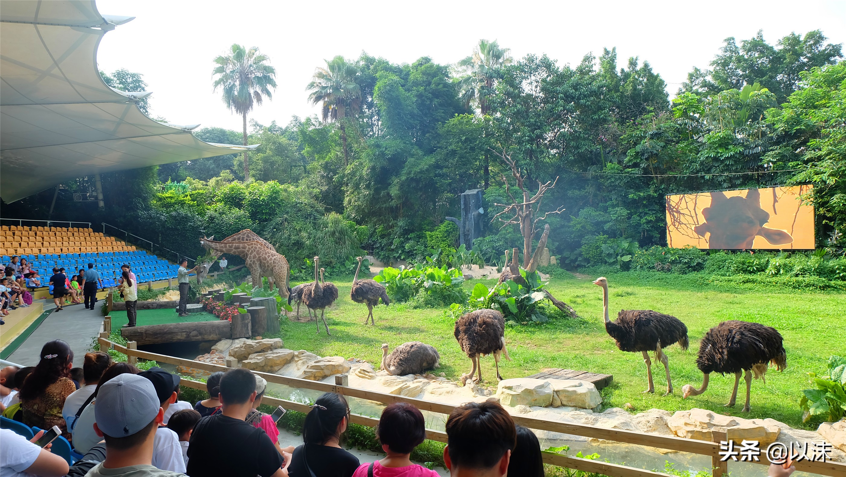 长隆野生动物世界游玩攻略,长隆野生动物世界带娃攻略