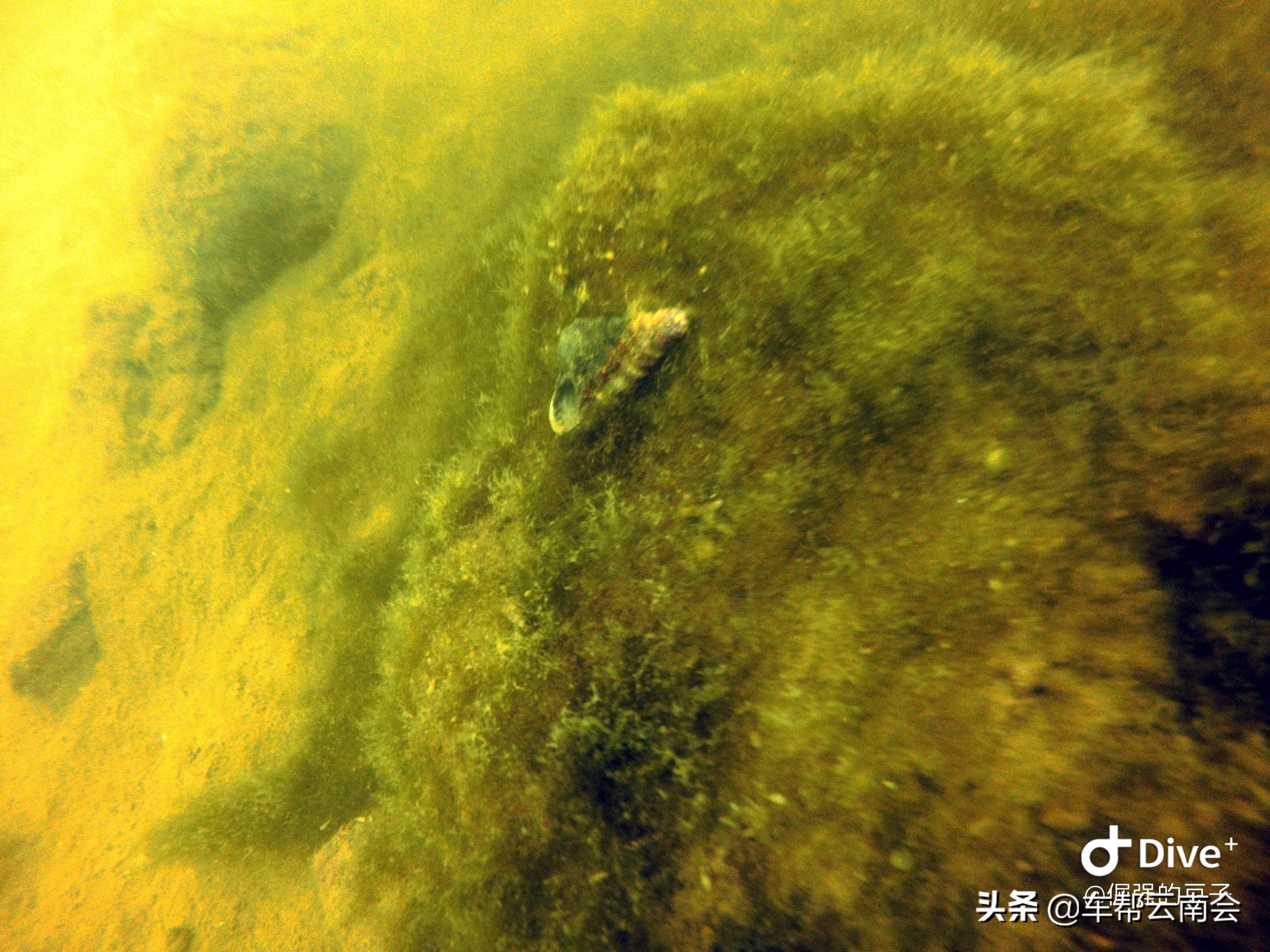 云南宏通达红旗多少钱,云南红旗宏通达