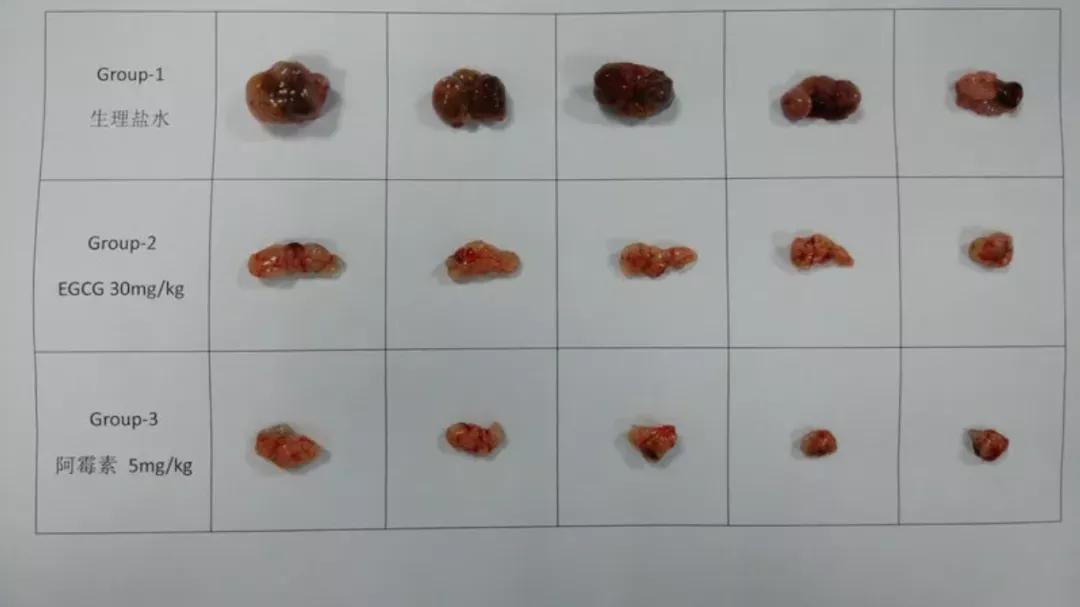 青少年科创大赛作品小发明,青少年科技创新大赛作品申报