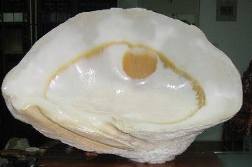 我的爱好之一是的英语,我的爱好之一是弹钢琴用英语怎么说