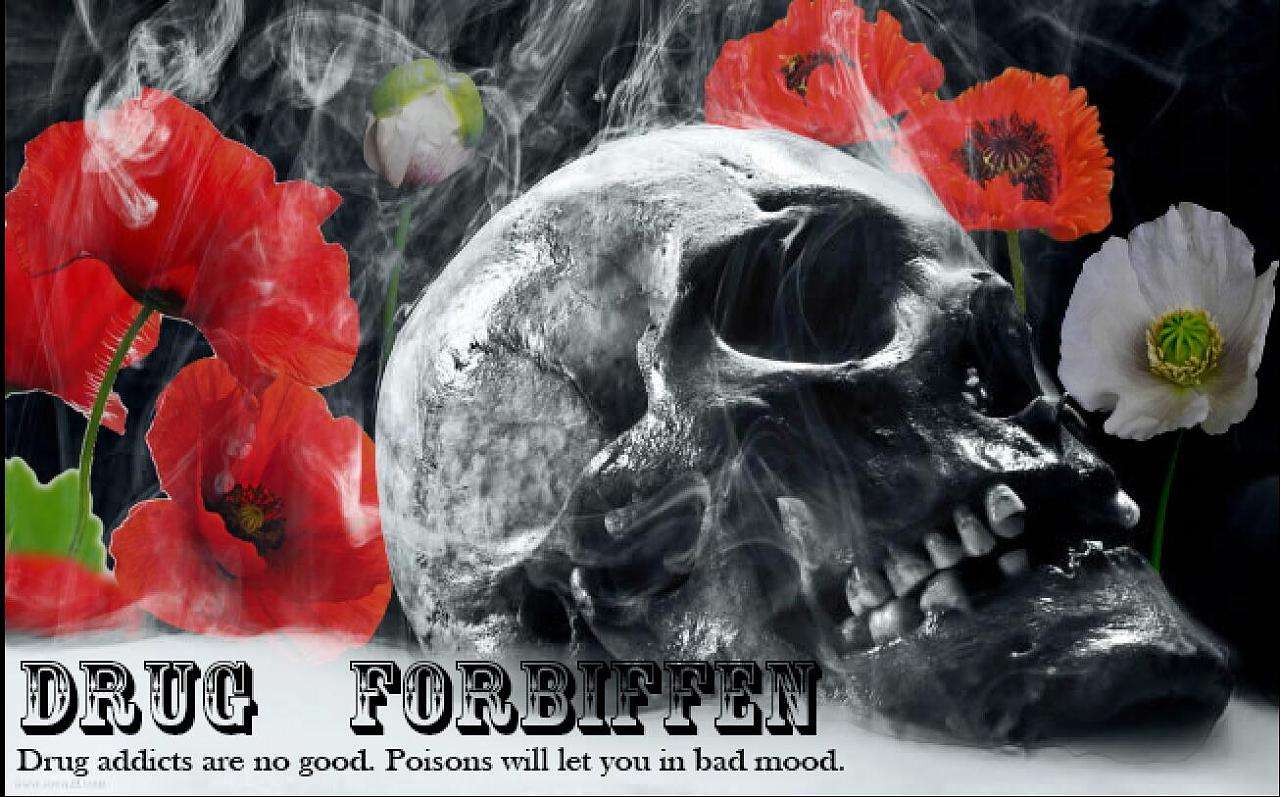 最新曝光的减肥产品,震惊减肥界产品