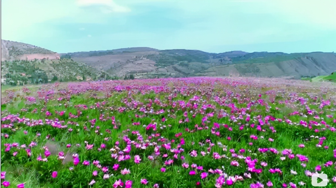 无穷之路最佳纪录片,无穷之路扶贫