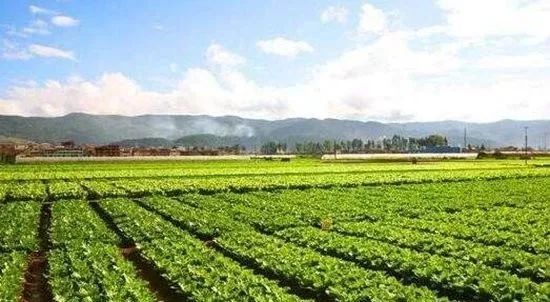 全国蔬菜品种分布图,全国蔬菜产量排名数据去哪看