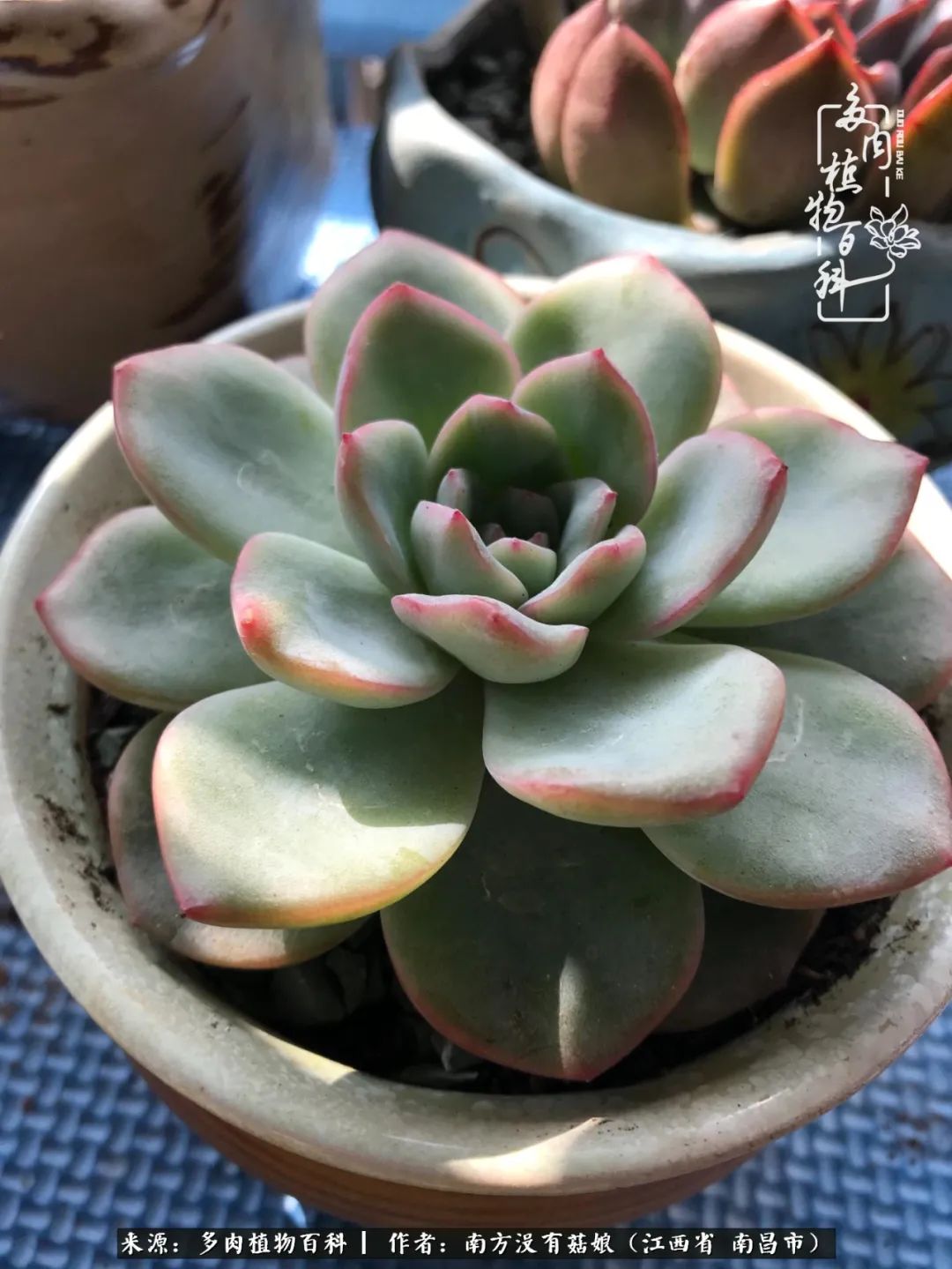 既见云胡不喜,既见君子云胡不喜毛笔楷书