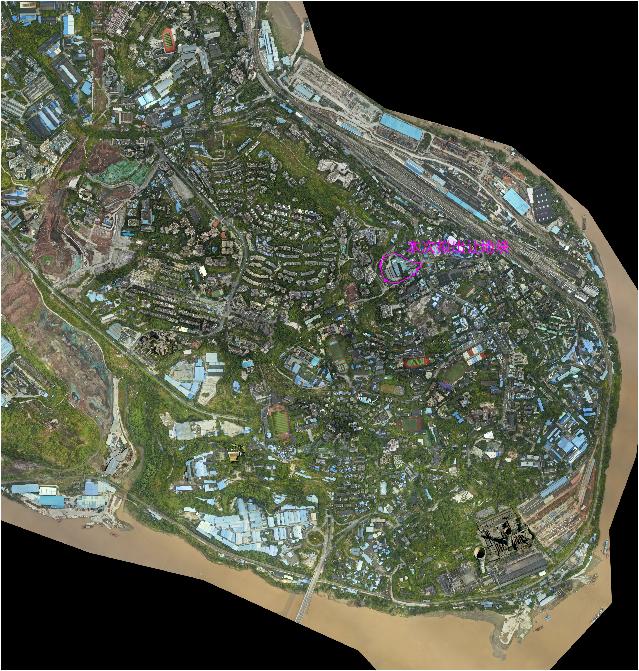 九龙半岛的利好,九龙半岛利好