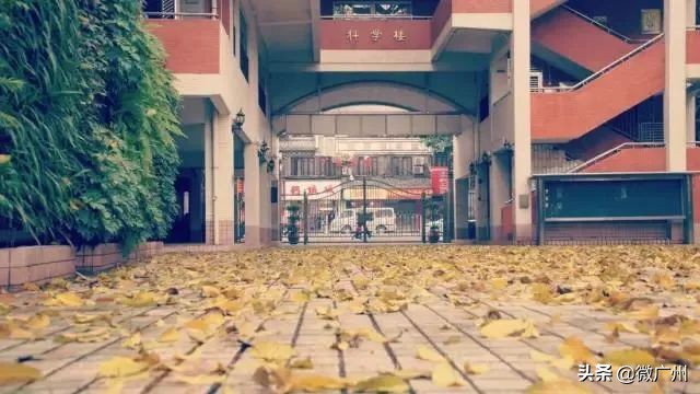 广州消失的高中,那些消失了的老学校