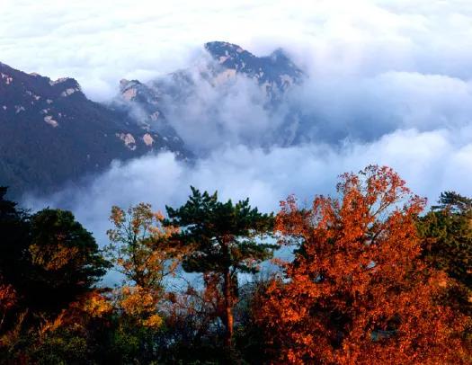 华山游览线路示意图,自由行华山一日游最佳路线