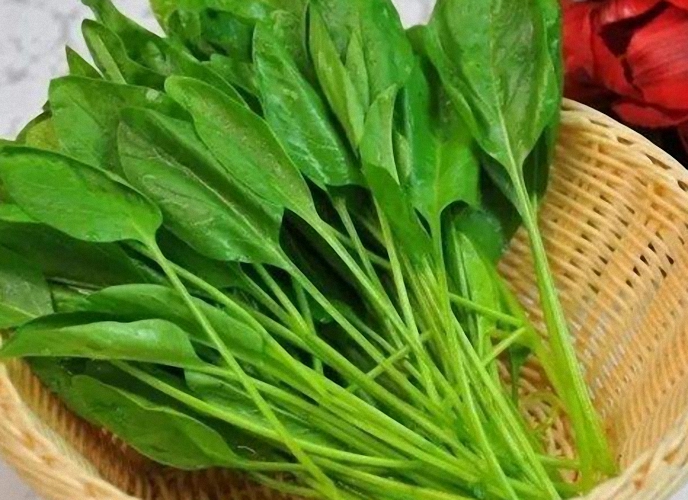 保护小孩眼睛的食物有哪些,保护孩子的眼睛的饮食