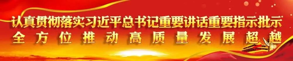 南安市2024重点项目规划,南安新地标罗东