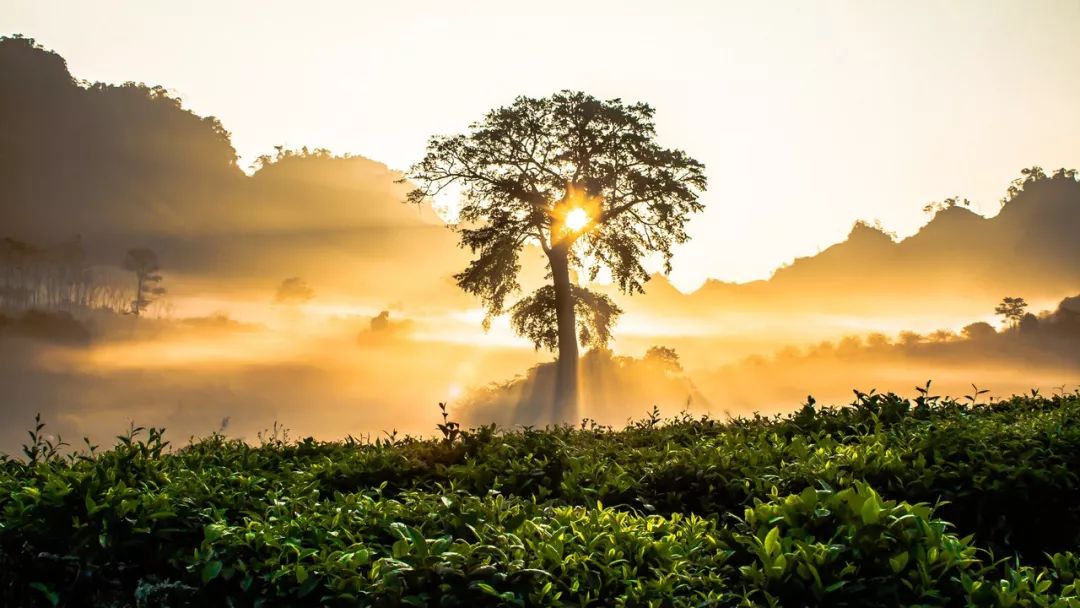 李绚诗歌《怒放的生命》诵读:边福来