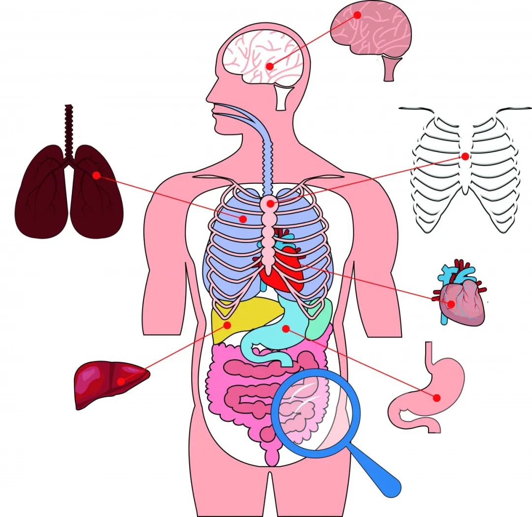 生气后按摩手上哪个穴位消气,身体有很多气怎么治疗