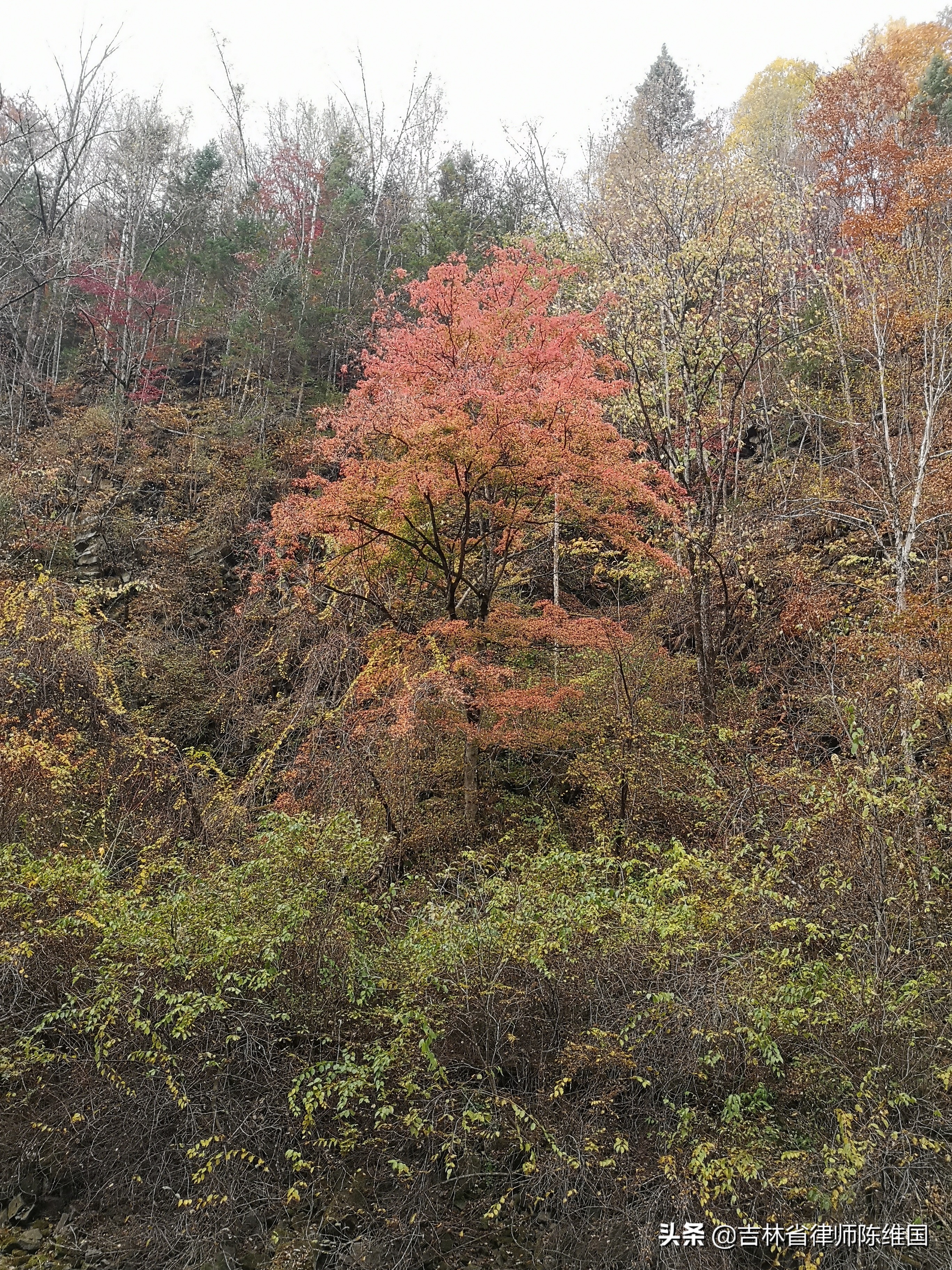 奇石碧水望天鹅－国庆游记之三
