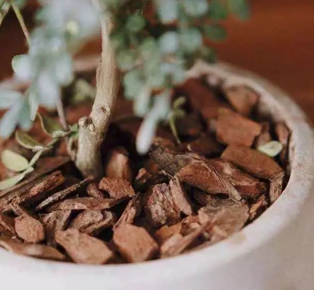 11月好物,10月实用好物推荐