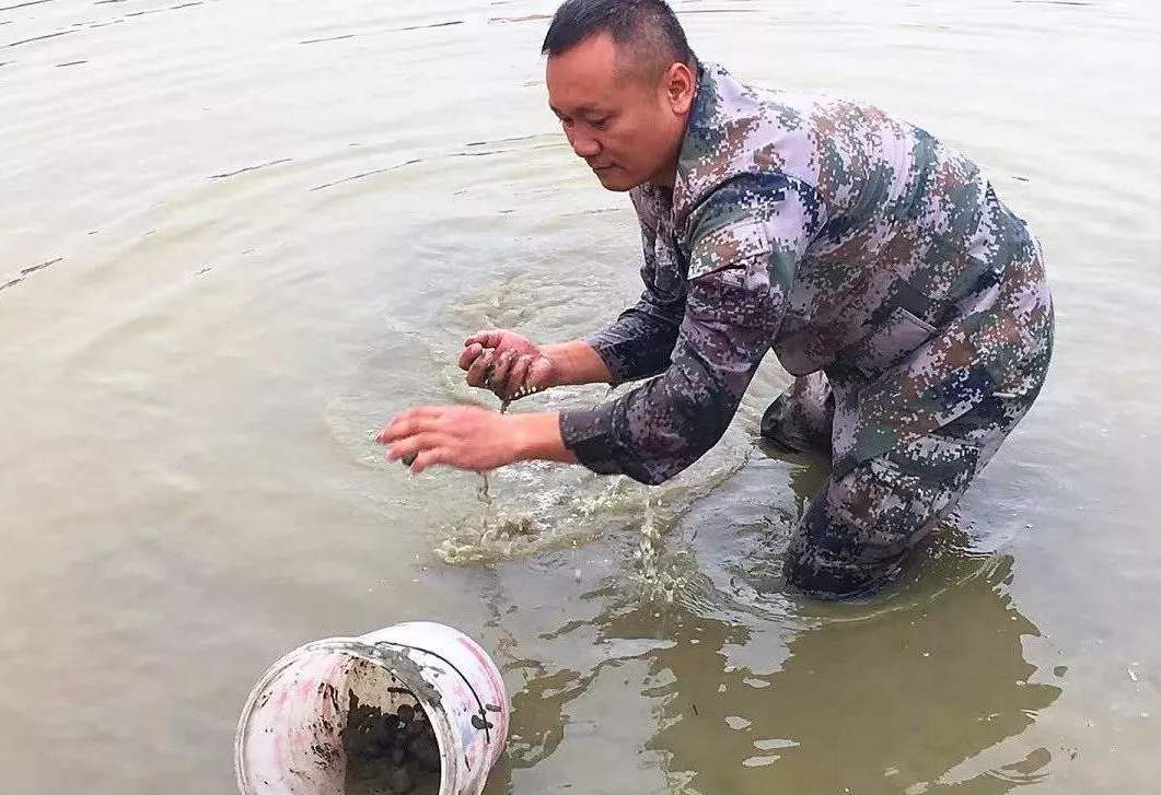 致富一亩地能赚3万多元,致富改变人生