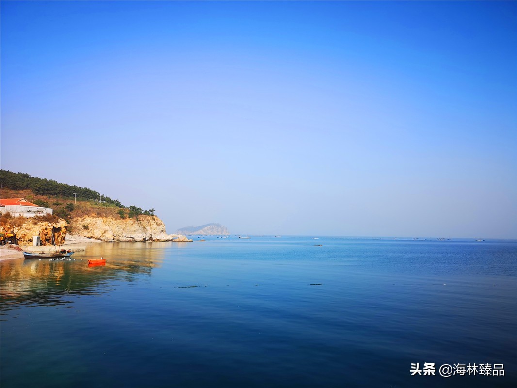 探秘海参的捕捞过程,野生海参采捕视频大全