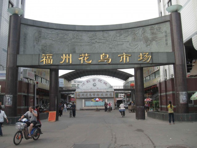 附近古玩收藏品市场,哪些地方有古玩交易市场