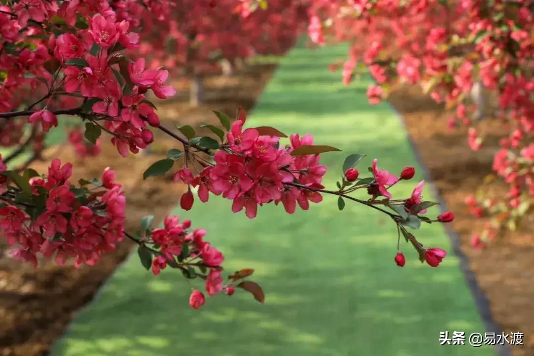 岁月安好,时光静好!愿在易县,与你共赴终老!