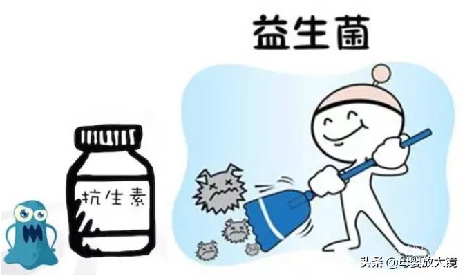 科普为什么说益生菌是最好的药,益生菌是夸大其词还是真实有效