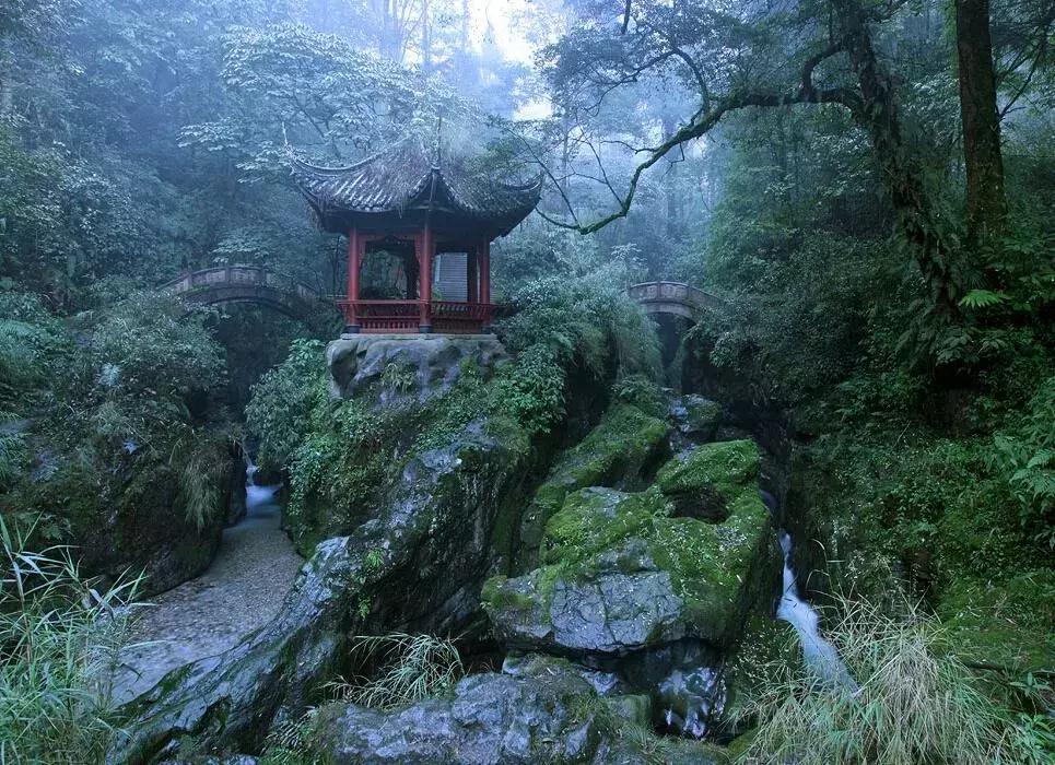 冲着金顶去峨眉山，最后跪着给这10个景点打五星