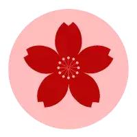 双11的东西真的便宜些吗,双11省钱攻略都在这里了